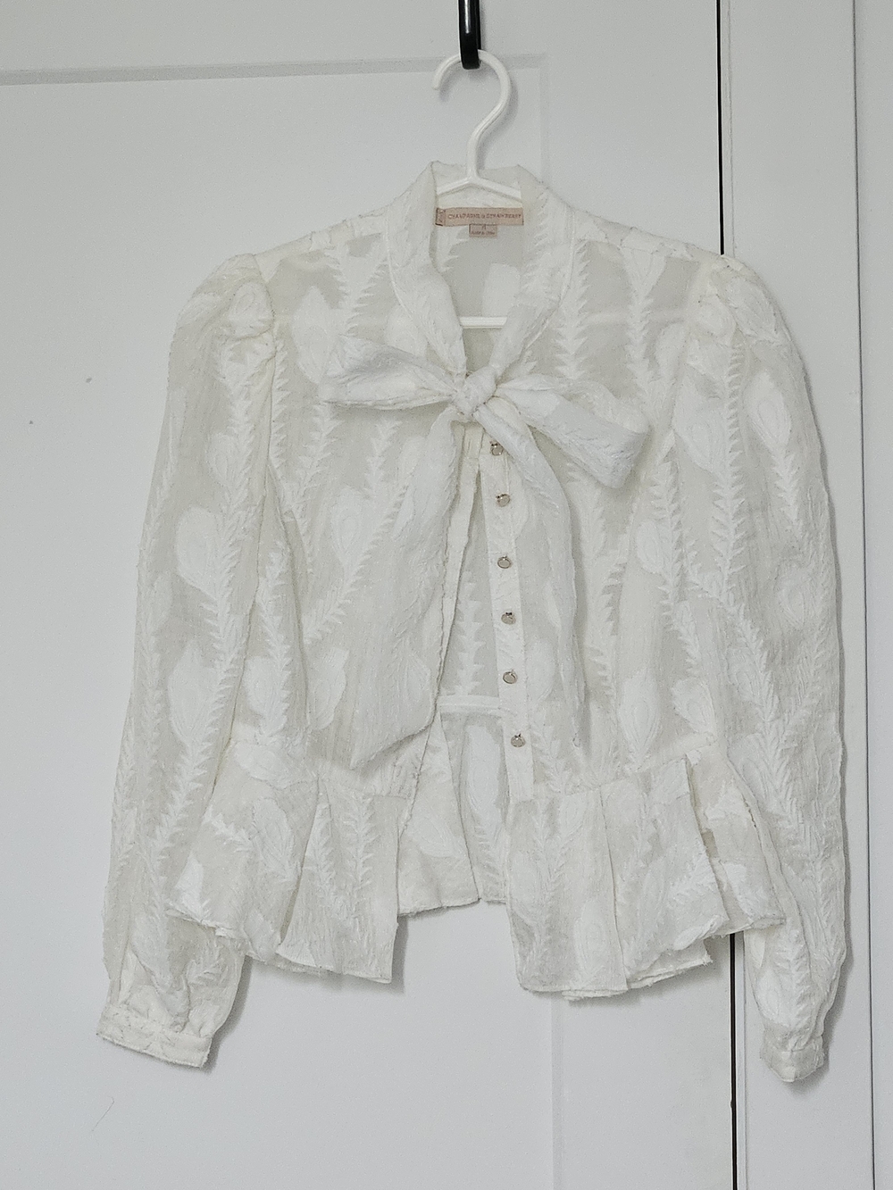 Elegant Off-White/Ecru Blouse With Pussybow And Leaves Applique